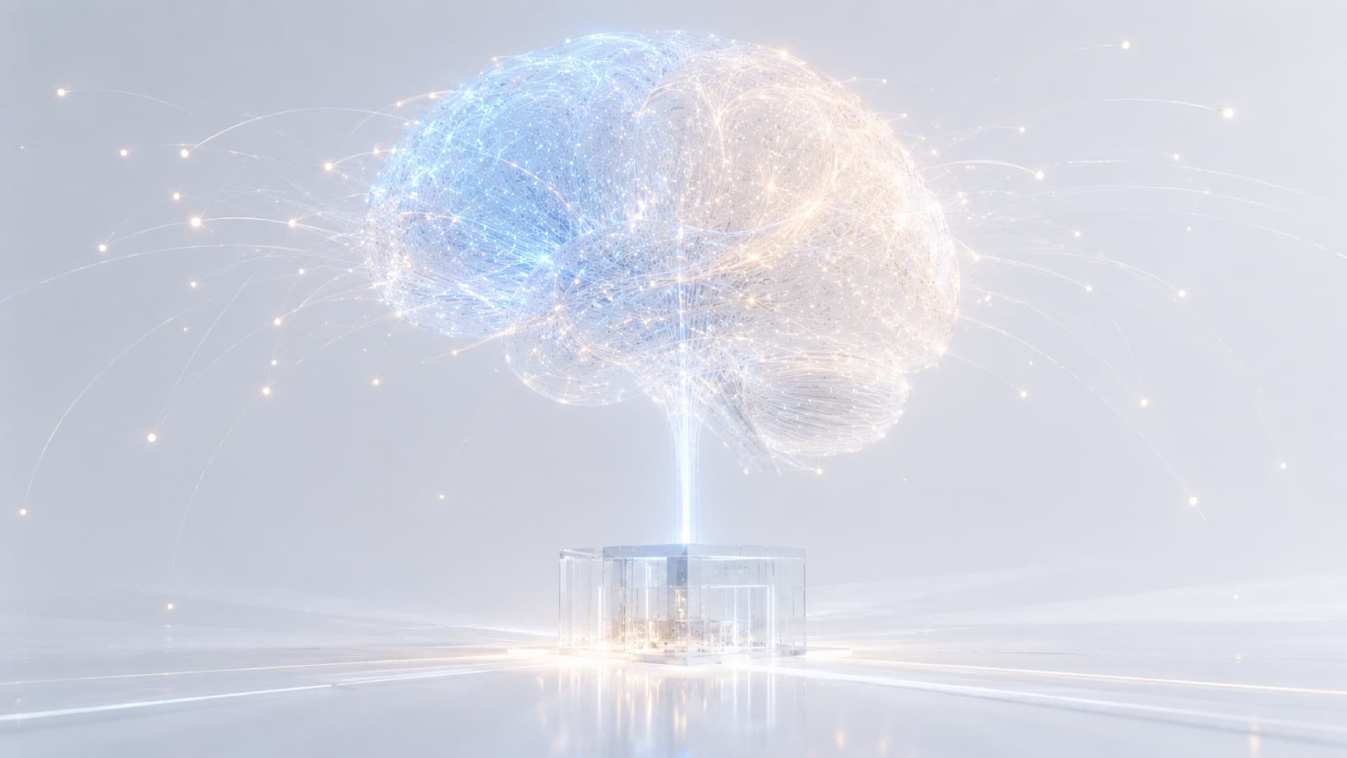 ASVBrain.com
