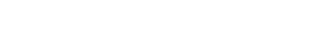 ASV Group